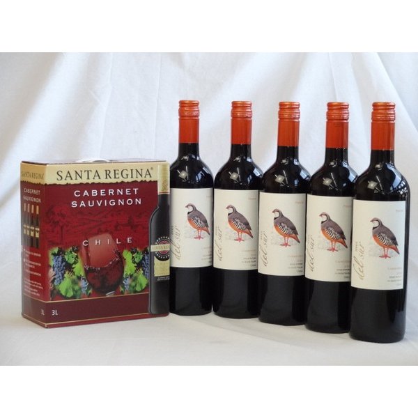サンタ・レジーナ カベルネ・ソーヴィニヨン